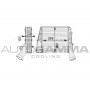 104893 AUTOGAMMA Интеркулер