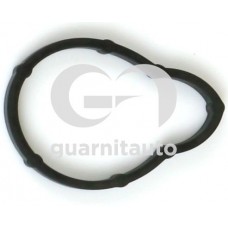 183784-8000 GUARNITAUTO Прокладка впускного колектора