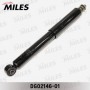 DG02146-01 MILES Амортизатор