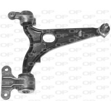 SSW1189.01 OPEN PARTS Ричаг незалежної підвіски колеса, подвеска колеса