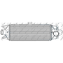 WG1724167 WILMINK GROUP Интеркулер