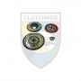 MCK0129F CLUTCHNUS Комплект зчеплення