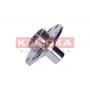 5500103 KAMOKA Ступиця колеса