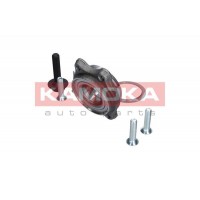 5500154 KAMOKA Ступиця колеса