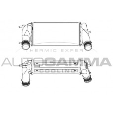 107416 AUTOGAMMA Интеркулер