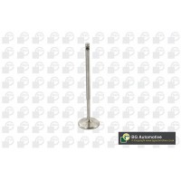 впускний клапан BGA V969601