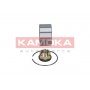 5600017 KAMOKA Комплект підшипника ступиці колеса