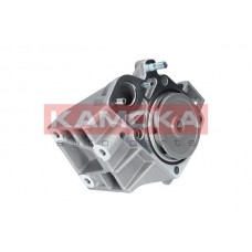 T0098 KAMOKA Водяний насос охолодження двигуна
