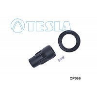 CP066 TESLA Вилка, Свічка запалювання