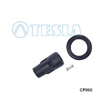 CP066 TESLA Вилка, Свічка запалювання