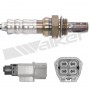 250-24434 WALKER PRODUCTS датчик кисню