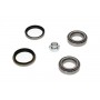 WBK-4501 KAVO PARTS Комплект підшипника ступиці колеса