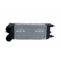 30282 NRF Интеркулер