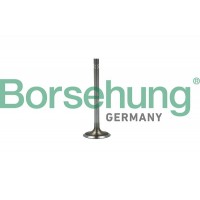 впускний клапан Borsehung B19022