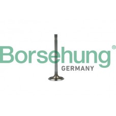 впускний клапан Borsehung B19022