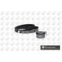 WG1488011 WILMINK GROUP Комплект ременя ГРМ