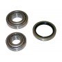 WBK-4008 KAVO PARTS Комплект підшипника ступиці колеса