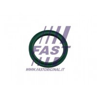Ущільнювальне кільце, Трубка нагнітається повітря FAST FT48933