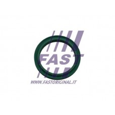 Ущільнювальне кільце, Трубка нагнітається повітря FAST FT48933