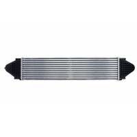 Интеркулер THERMOTEC DAI001TT