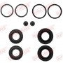 114-0107 QUICK BRAKE Ремкомплект, Гальмівний супорт