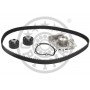 SK-1394AQ1 OPTIMAL Водяний насос комплект зубчастого ременя