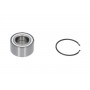 WBK-6557 KAVO PARTS Комплект підшипника ступиці колеса