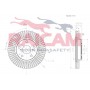 RD01310 RAICAM Гальмівний диск