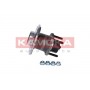 5500077 KAMOKA Комплект підшипника ступиці колеса