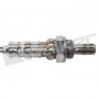 250-24916 WALKER PRODUCTS датчик кисню