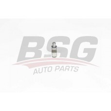 BSG 15-122-023 BSG Толкатель