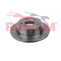 RD00450 RAICAM Гальмівний диск