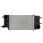 DA1013TT THERMOTEC Интеркулер