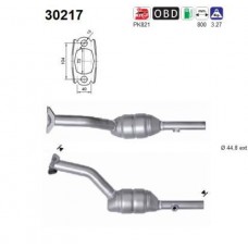 30217 AS Катализатор