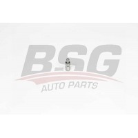 BSG 15-122-027 BSG Толкатель