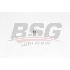 BSG 15-122-027 BSG Толкатель