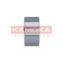 5600018 KAMOKA Комплект підшипника ступиці колеса