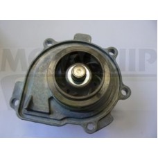 VWP876 MOTAQUIP Водяний насос охолодження двигуна