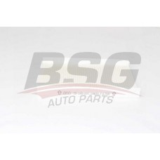 BSG 25-145-001 BSG Фільтр повітря у внутрішньому просторі