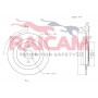 RD01091 RAICAM Гальмівний диск