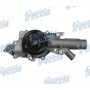 WP0123 FRECCIA Водяний насос охолодження двигуна