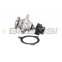 WP0189 BREMSI Водяний насос охолодження двигуна