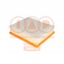 121-13161 IAP QUALITY PARTS Повітряний фільтр
