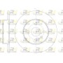 6789.00 ROADHOUSE Гальмівний диск