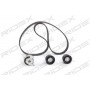 307T0222 RIDEX Комплект ременя ГРМ