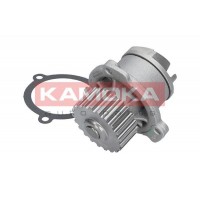 T0172 KAMOKA Водяний насос охолодження двигуна