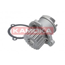 T0172 KAMOKA Водяний насос охолодження двигуна