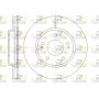 61229.10 ROADHOUSE Гальмівний диск