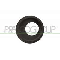 LR8021250 PRASCO Рама протитуманна фара