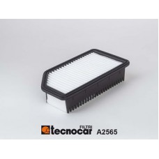 A2565 TECNOCAR Повітряний фільтр